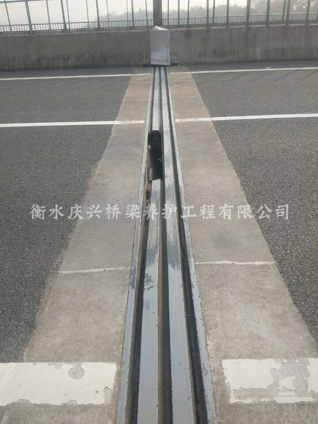 �R�������s�p���Ѹ��Q